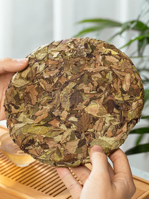 有机茶福鼎 白茶 寿眉春茶 高山新茶紧压饼茶收藏2019 商品图1