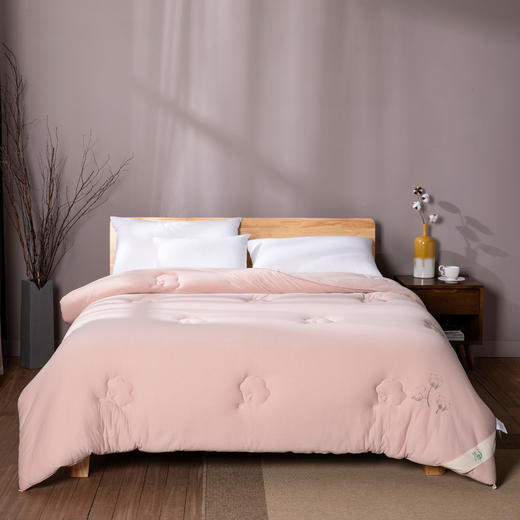 远梦天然棉花舒眠被 商品图1