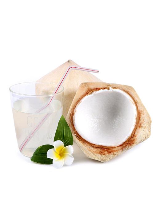 【常州馆】杰记水果 进口椰青1只 商品图1