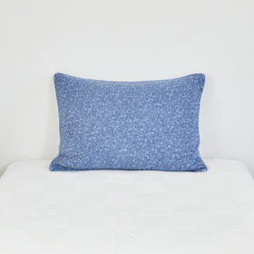 [现代房屋] 新款 韩国 人造丝枕套 超柔软触感枕套 50x70 蓝色JPY带授权招加盟代理