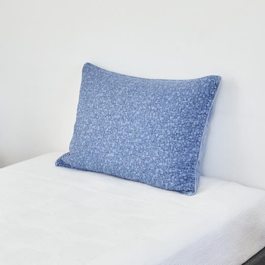 [现代房屋] 新款 韩国 人造丝枕套 超柔软触感枕套 50x70 蓝色JPY带授权招加盟代理 商品图1