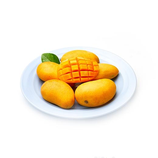 H小台芒芒果 商品图0