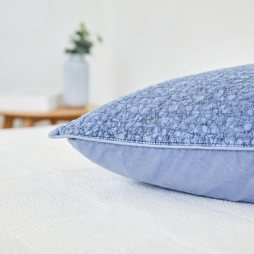 [现代房屋] 新款 韩国 人造丝枕套 超柔软触感枕套 50x70 蓝色JPY带授权招加盟代理 商品图2