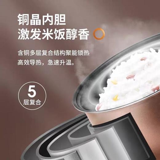 Joyoung/九阳F-40FZ815智能电饭煲铜匠厚釜家用多功能电饭锅4.0升 商品图4