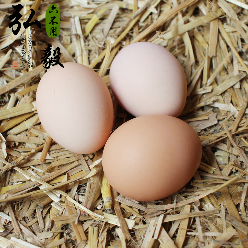 【弘毅六不用生态农场】生态散养柴鸡蛋 走地鸡蛋 30枚/份