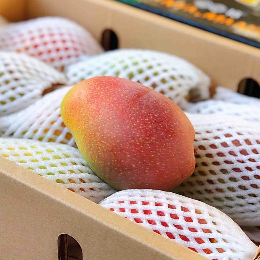 限时特惠桂香芒海南树熟桂香芒空运纯甜多汁核薄到极水润好吃