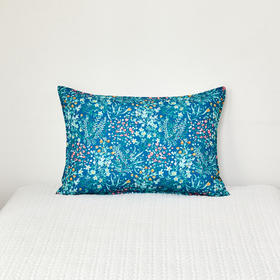 [现代房屋] 新款 韩国 丝绸枕套 防过敏护理 湖蓝色枕头套50 * 70JPY带授权招加盟代理