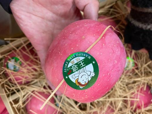 周三取货：【礼盒王婆鸟巢苹果 】又脆又甜，真心好吃的苹果，强力推荐！！！ 商品图2