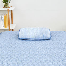 [现代房屋] 新款 韩国 条纹纤维枕套 超柔软尼龙枕套 30x50蓝色JPY带授权招加盟代理