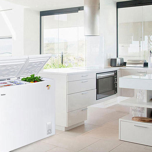 海尔（Haier） 210升 大冷冻小冷藏 家用商用二合一 冷柜 双箱双温区 冰柜 卧式冰箱 FCD-210XDB 商品图4