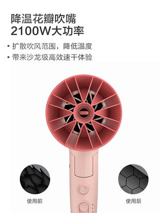 【6F】飞利浦温柔小花筒电吹风机 家用负离子护发 大功率速干风筒爆款BHD388/05 商品图3