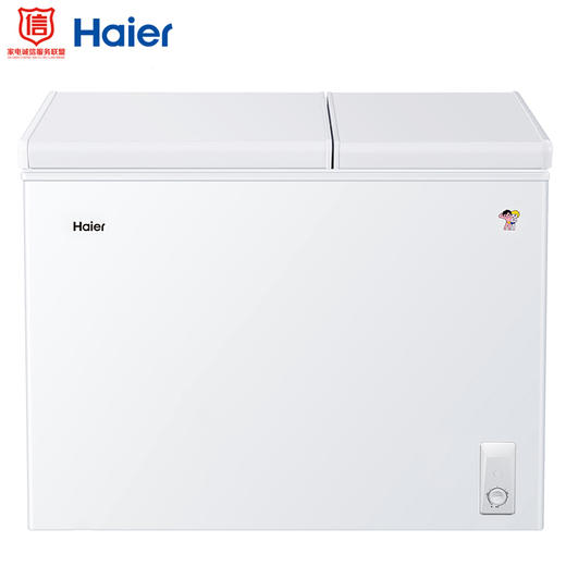 海尔（Haier） 210升 大冷冻小冷藏 家用商用二合一 冷柜 双箱双温区 冰柜 卧式冰箱 FCD-210XDB 商品图0