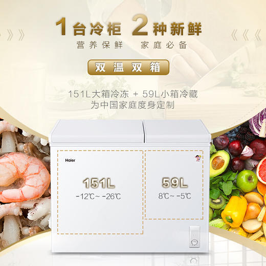 海尔（Haier） 210升 大冷冻小冷藏 家用商用二合一 冷柜 双箱双温区 冰柜 卧式冰箱 FCD-210XDB 商品图1
