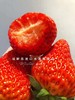 【口感香浓】红颜巧克力草莓🍓（11-15枚/盒大果） 商品缩略图5