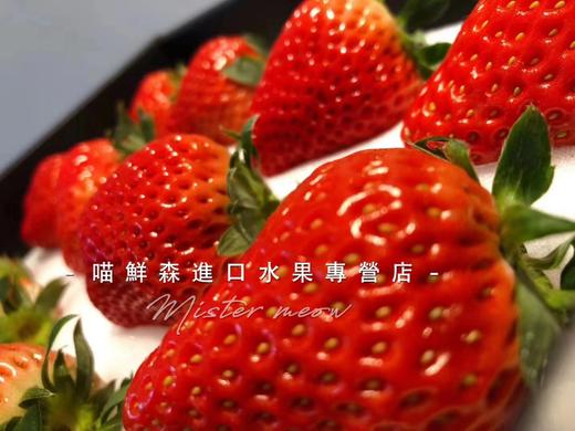 【口感香浓】红颜巧克力草莓🍓（11-15枚/盒大果） 商品图6
