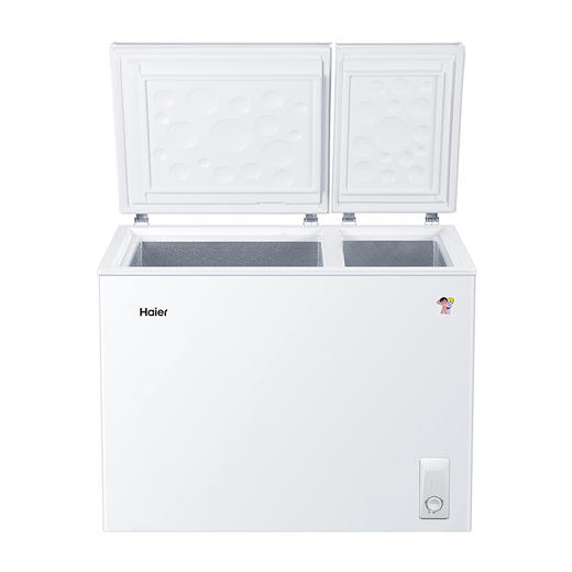 海尔（Haier） 210升 大冷冻小冷藏 家用商用二合一 冷柜 双箱双温区 冰柜 卧式冰箱 FCD-210XDB 商品图5