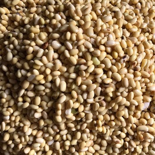 雪梅豆腐干 商品图1