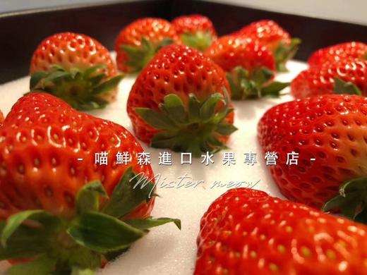 【口感香浓】红颜巧克力草莓🍓（11-15枚/盒大果） 商品图7