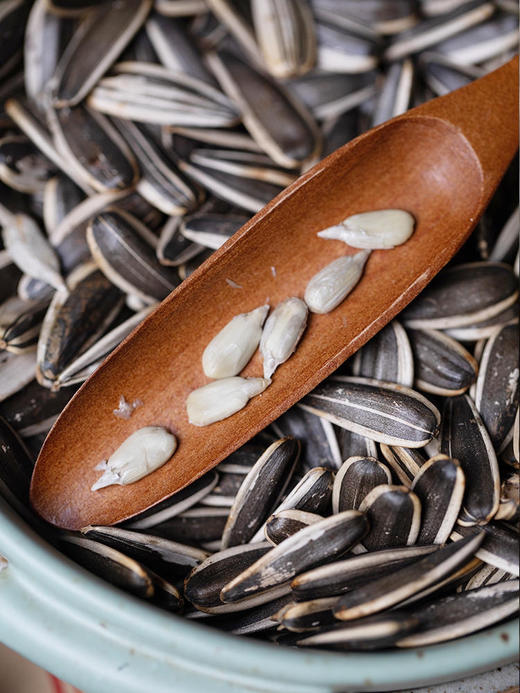 【非物质文化遗产中国地理标志】内蒙巴盟原味瓜子 每颗约2.6厘米以上 商品图4