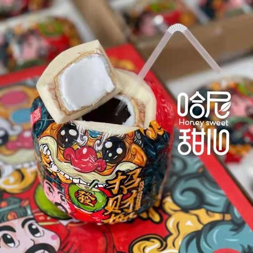 哈尼甜心招财椰（4颗礼盒装 每颗900g左右） 商品图3