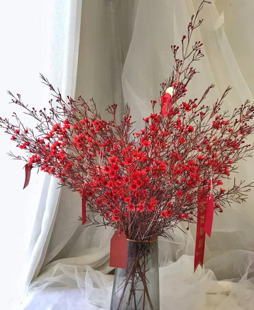 腊梅混批20扎起发