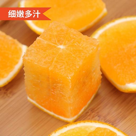 业主福利~【匠心爆汁橙】4斤/8.5斤/箱，肉质细腻，如同果冻橙 商品图2