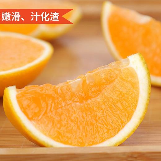 业主福利~【匠心爆汁橙】4斤/8.5斤/箱，肉质细腻，如同果冻橙 商品图3