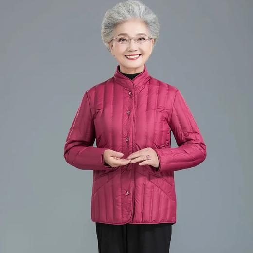 BMJR-Bmchar-D366冬季新款轻薄时尚刺绣短款羽绒服 商品图2