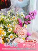 【意气风发】向日葵➕绿扣雏菊➕洋甘菊➕折射蔷薇➕勿忘我 商品缩略图2