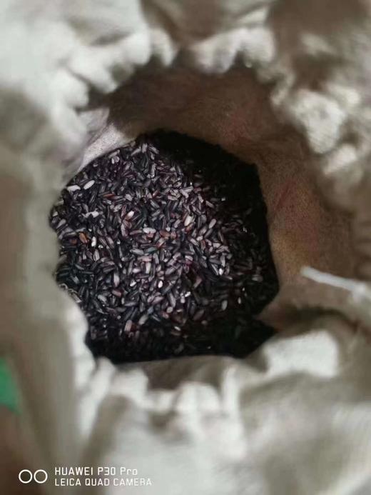 周五取货：【鸭血糯米】一袋2斤左右，软糯香粘，健康粗粮 商品图2