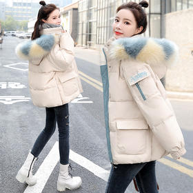 时尚休闲，韩版连帽加厚字母刺绣棉服HR-GJC2987