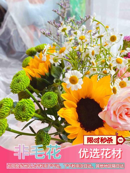 【意气风发】向日葵➕绿扣雏菊➕洋甘菊➕折射蔷薇➕勿忘我 商品图3