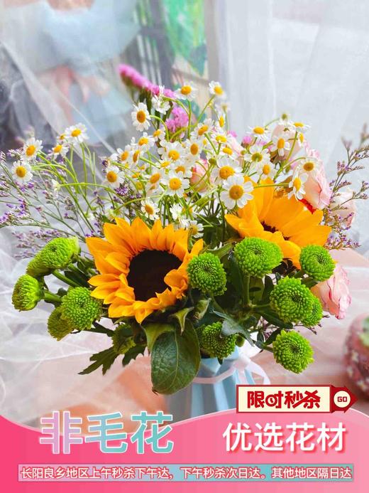 【意气风发】向日葵➕绿扣雏菊➕洋甘菊➕折射蔷薇➕勿忘我 商品图1