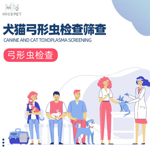 Nice Pet 犬猫弓形虫检查筛查 商品图1