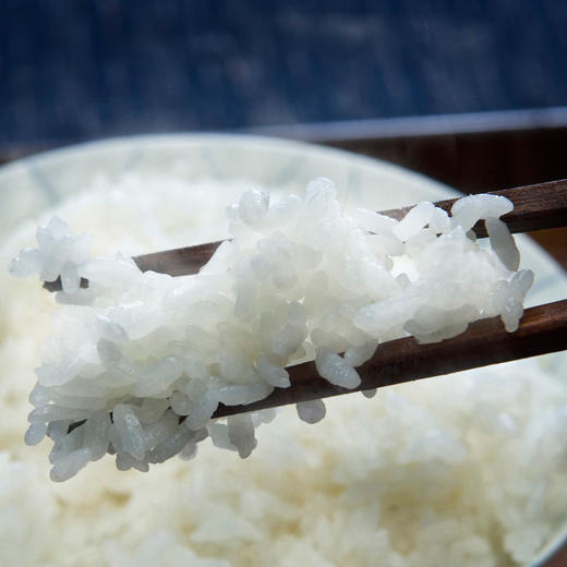 【聖上壹品】21年新米东北大米瑞雪五常大米5kg 真空装*2 商品图4