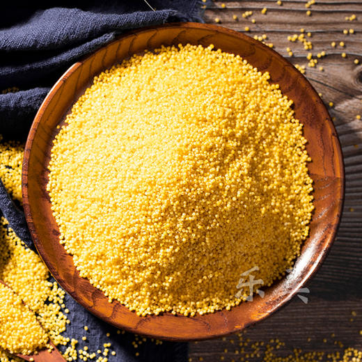 抢购价9.9有机山西黄小米500g/包 商品图0