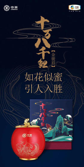 中茶礼遇系列--十万八千鲤·金骏眉 120克盒 中粮出品