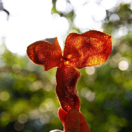 收藏级 | 15年珍稀新会陈皮 商品图6