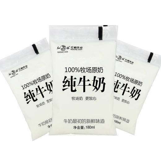 红梅乳业 纯牛奶180ml/袋  16袋/箱 商品图3