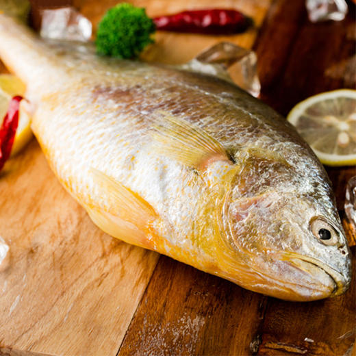 蟹小姐生态大黄鱼500g