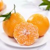 【产地直发】四川春见耙耙柑丨 多规格可选 商品缩略图0