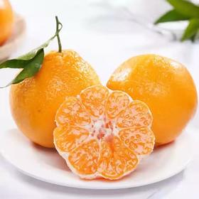 【产地直发】四川春见耙耙柑丨 多规格可选