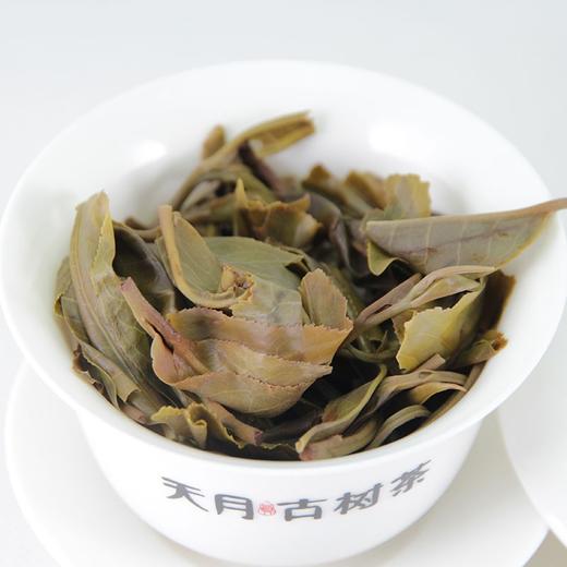 【天月古树茶】2016年百年臻品古树普洱茶生饼 357g 商品图3
