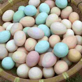 团购丨自养溜达鸡蛋40枚