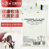 红梅乳业 纯牛奶180ml/袋  16袋/箱 商品缩略图2