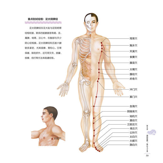 刮痧通经络养五脏 商品图3