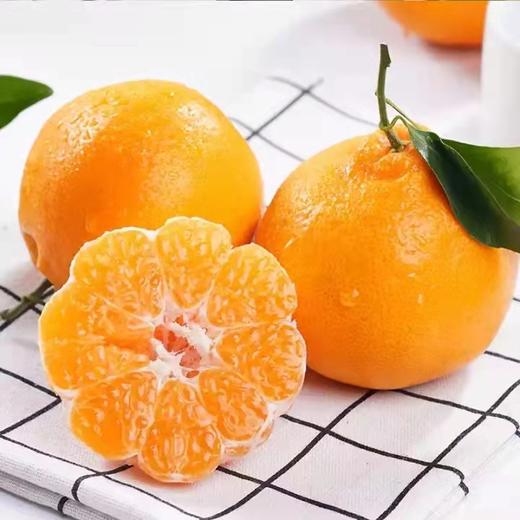 【产地直发】四川春见耙耙柑丨 多规格可选 商品图3