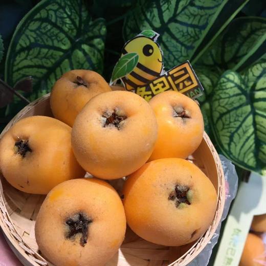 【特级】四川米易县产长丸大枇杷