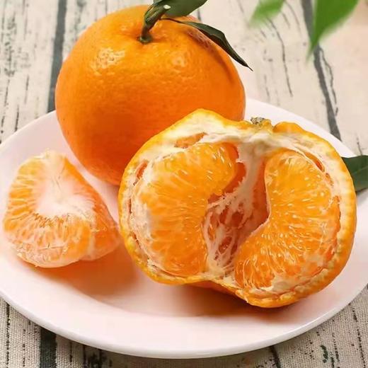 【产地直发】四川春见耙耙柑丨 多规格可选 商品图2