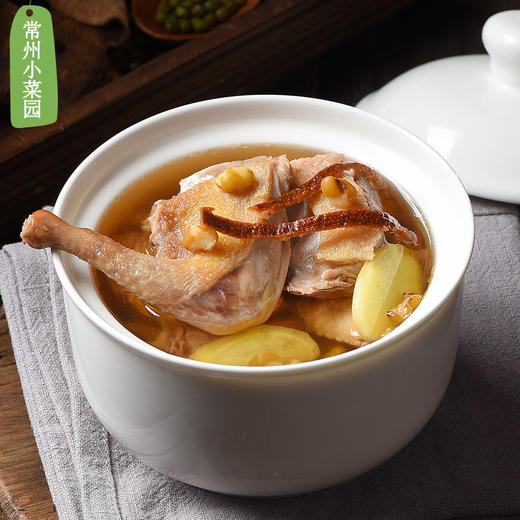 新桥高鹏 老鸽1只 商品图4